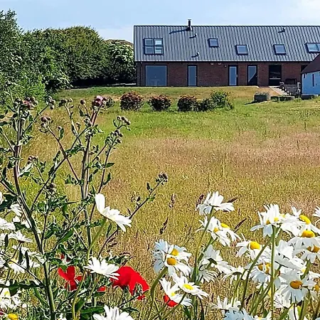 Semesterbostad Peaceful Summer House Near Limfjorden