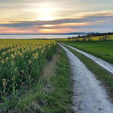 Peaceful Summer House Near Limfjorden