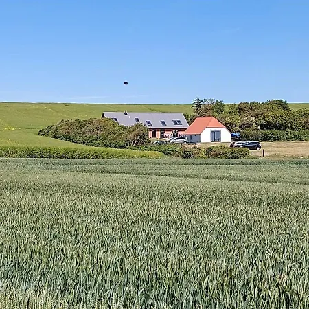 Peaceful Summer House Near Limfjorden *