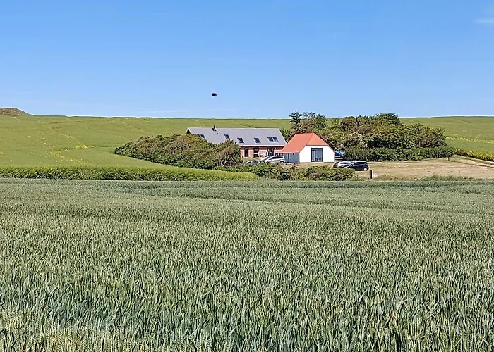 Peaceful Summer House Near Limfjorden *